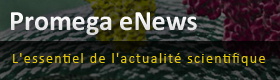 FR_eNews_Banner_280x80